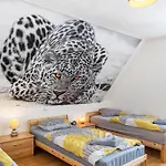 Casa de Férias Zum Huberts Schweinchen