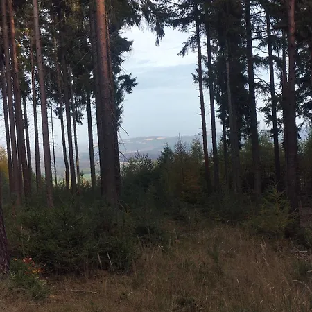 Zum Huberts Schweinchen *