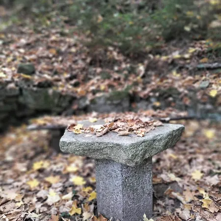 Zum Huberts Schweinchen Dom wakacyjny