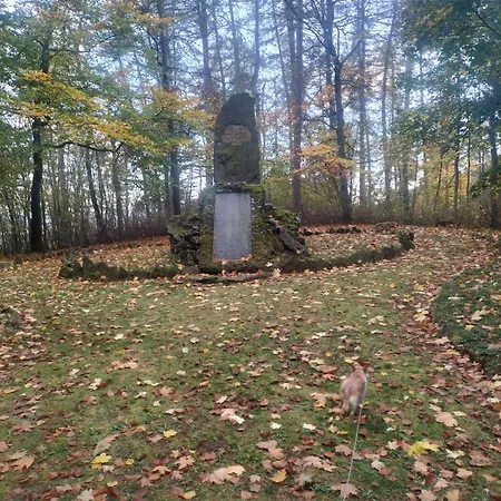Dom wakacyjny Zum Huberts Schweinchen Frankenhain
