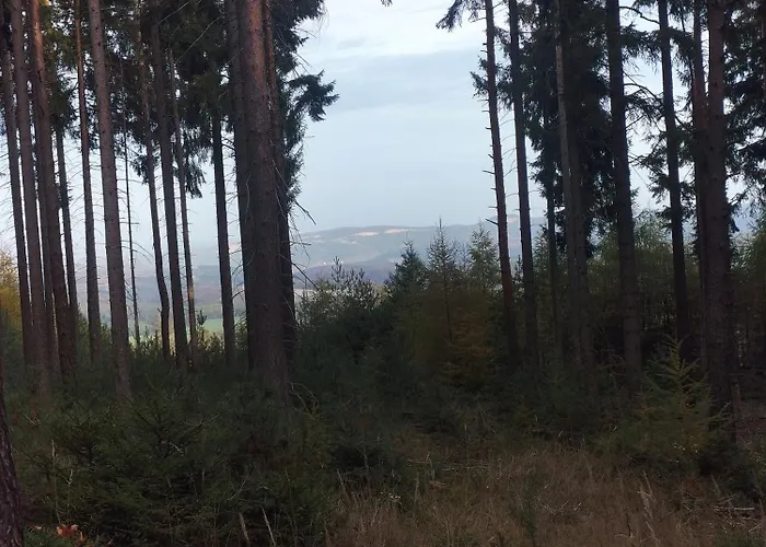 Zum Huberts Schweinchen *