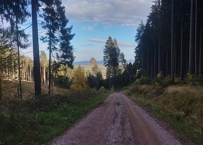 Zum Huberts Schweinchen