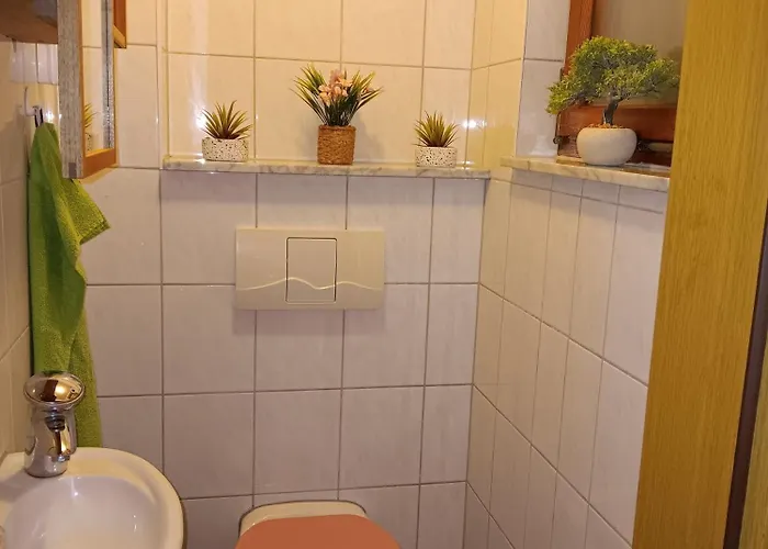 Zum Huberts Schweinchen Tatil Evi Frankenhain